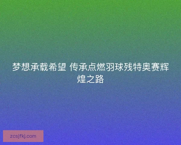 梦想承载希望 传承点燃羽球残特奥赛辉煌之路