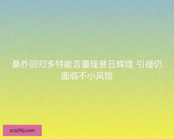 桑乔回归多特能否重现昔日辉煌 引援仍面临不小风险